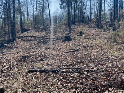 Rural Riverfront Land With Great Views For Sale In Arkansas - image 17