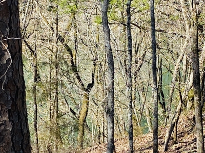 Rural Riverfront Land With Great Views For Sale In Arkansas - image 9