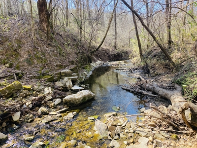 Rural Riverfront Land With Great Views For Sale In Arkansas - image 24