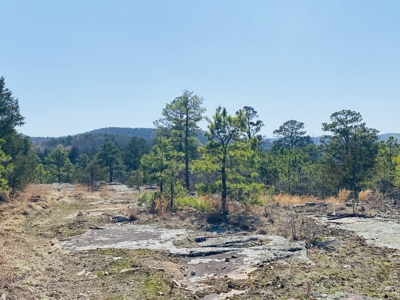 Rural Riverfront Land With Great Views For Sale In Arkansas - image 3