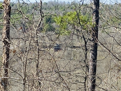 Rural Riverfront Land With Great Views For Sale In Arkansas - image 12