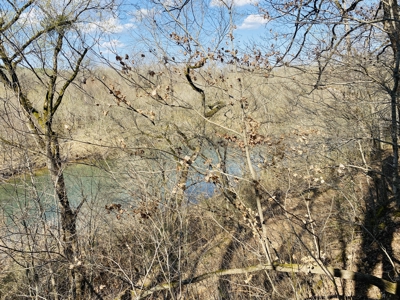 Rural Riverfront Land With Great Views For Sale In Arkansas - image 26