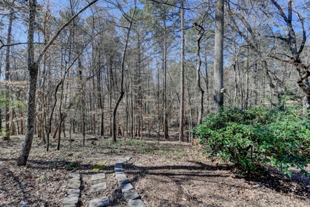 Just 5 short minutes away from the shores of Lake Lanier! - image 45