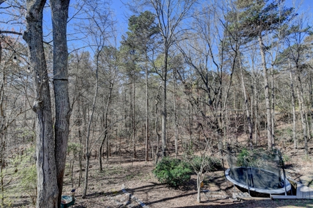 Just 5 short minutes away from the shores of Lake Lanier! - image 46