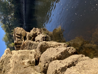 Riverfront Lot on the Withlacoochee River, – Jasper, FL - image 3