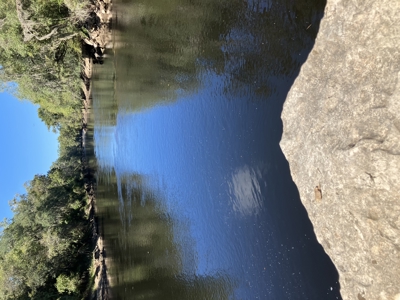 Riverfront Lot on the Withlacoochee River, – Jasper, FL - image 4