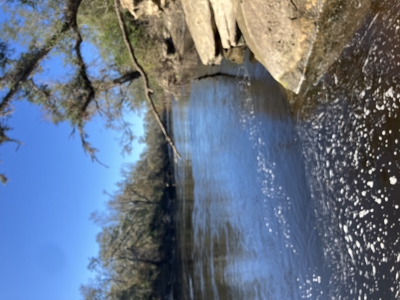 Riverfront Lot on the Withlacoochee River, – Jasper, FL - image 8