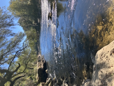 Escape to the natural beauty of the Withlacoochee River - 1.2 Acre lot! - image 5