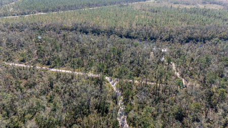 Escape to the natural beauty of the Withlacoochee River - 1.2 Acre lot! - image 2