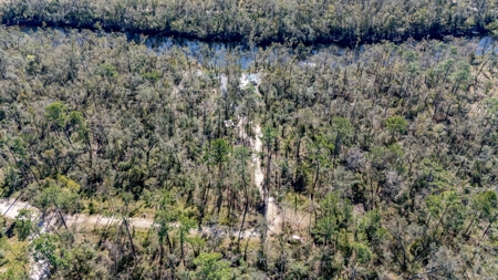 Escape to the natural beauty of the Withlacoochee River - 1.2 Acre lot! - image 1