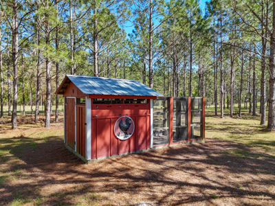 Country Home On 20+ Acres With Workshop Chiefland Levy County Florida - image 34