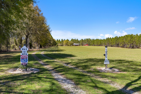 Country Home On 20+ Acres With Workshop Chiefland Levy County Florida - image 46