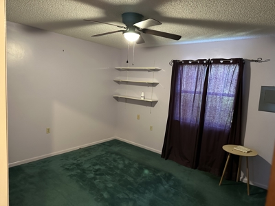 Country Home And Land For Sale In Lafayette County  Florida! - image 12