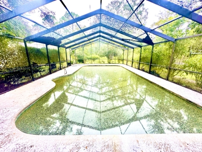 Country Home And Land For Sale In Lafayette County  Florida! - image 30