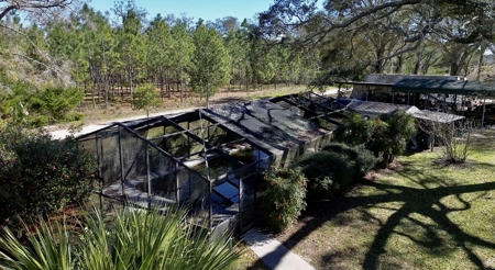 Country Home And Land For Sale In Lafayette County  Florida! - image 16