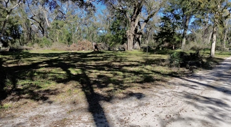 Country Home And Land For Sale In Lafayette County  Florida! - image 25