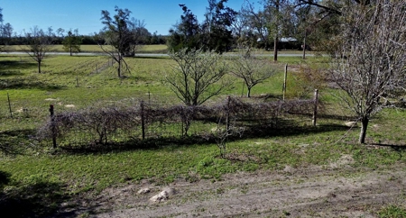 Country Home And Land For Sale In Lafayette County  Florida! - image 23
