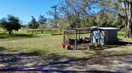 Country Home And Land For Sale In Lafayette County  Florida! - image 21