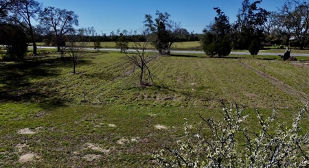 Country Home And Land For Sale In Lafayette County  Florida! - image 24