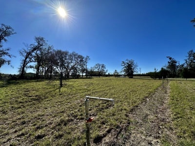Country Home And Land For Sale In Lafayette County  Florida! - image 26