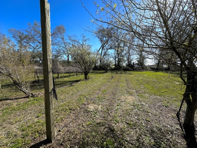 Country Home And Land For Sale In Lafayette County  Florida! - image 28