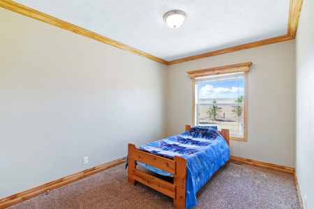 Country Homes For Sale on 34+ Acres, Carr Colorado Weld County - image 16