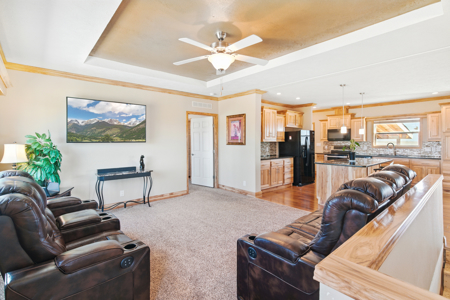 Country Homes For Sale on 34+ Acres, Carr Colorado Weld County - image 4
