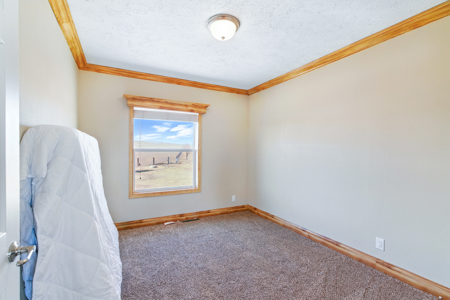 Country Homes For Sale on 34+ Acres, Carr Colorado Weld County - image 18