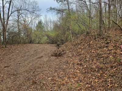 Building Lot for Sale in Cedar Bluff VA - image 15