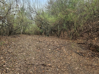 Building Lot for Sale in Cedar Bluff VA - image 14