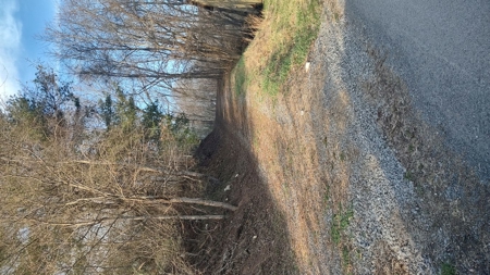 Building Lot for Sale in Cedar Bluff VA - image 2
