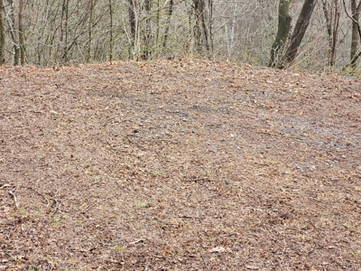 Building Lot for Sale in Cedar Bluff VA - image 10