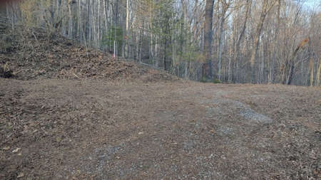 Building Lot for Sale in Cedar Bluff VA - image 7