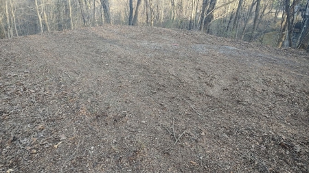 Building Lot for Sale in Cedar Bluff VA - image 8