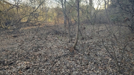 Building Lot for Sale in Cedar Bluff VA - image 6