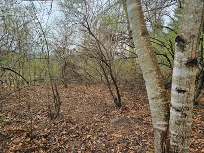 Building Lot for Sale in Cedar Bluff VA - image 3