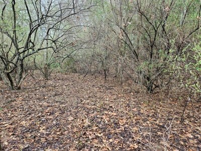 Building Lot for Sale in Cedar Bluff VA - image 12