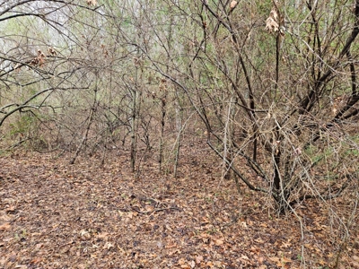 Building Lot for Sale in Cedar Bluff VA - image 11