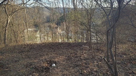 Building Lot for Sale in Cedar Bluff VA - image 4