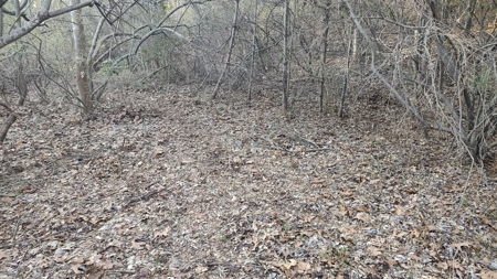 Building Lot for Sale in Cedar Bluff VA - image 5