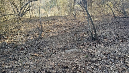 Building Lot for Sale in Cedar Bluff VA - image 1