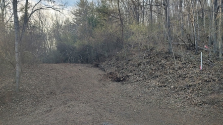 Building Lot for Sale in Cedar Bluff VA - image 9
