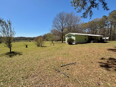 Home on 7 Acres in Tylertown MS - image 15