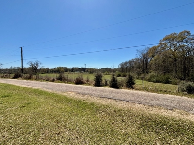 Home on 7 Acres in Tylertown MS - image 20