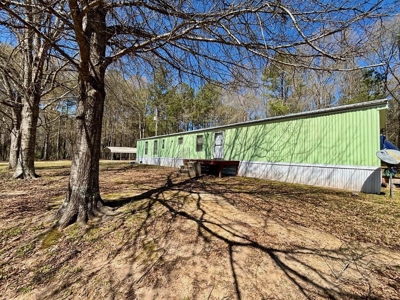 Home on 7 Acres in Tylertown MS - image 2