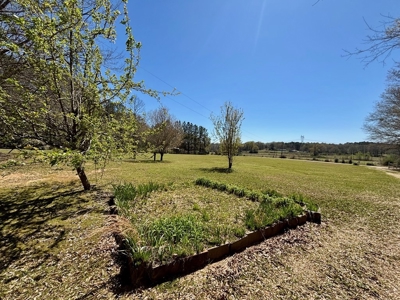 Home on 7 Acres in Tylertown MS - image 17