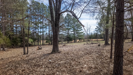 Home for sale in the Northern Missouri Ozarks - image 47