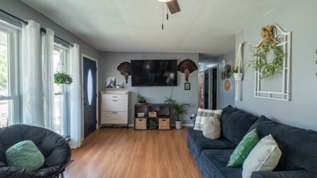 Home for sale in the Northern Missouri Ozarks - image 12