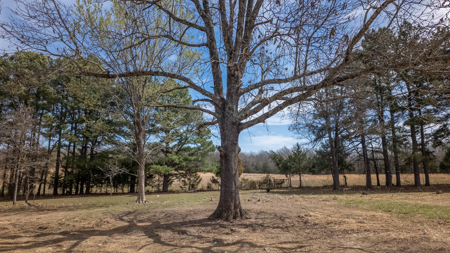 Home for sale in the Northern Missouri Ozarks - image 39