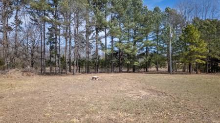 Home for sale in the Northern Missouri Ozarks - image 40